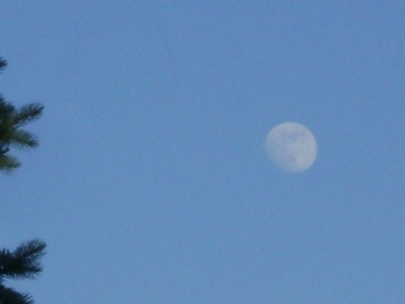 Luna in crestere in Scorpion - Luna - Soarele si norii - 2
