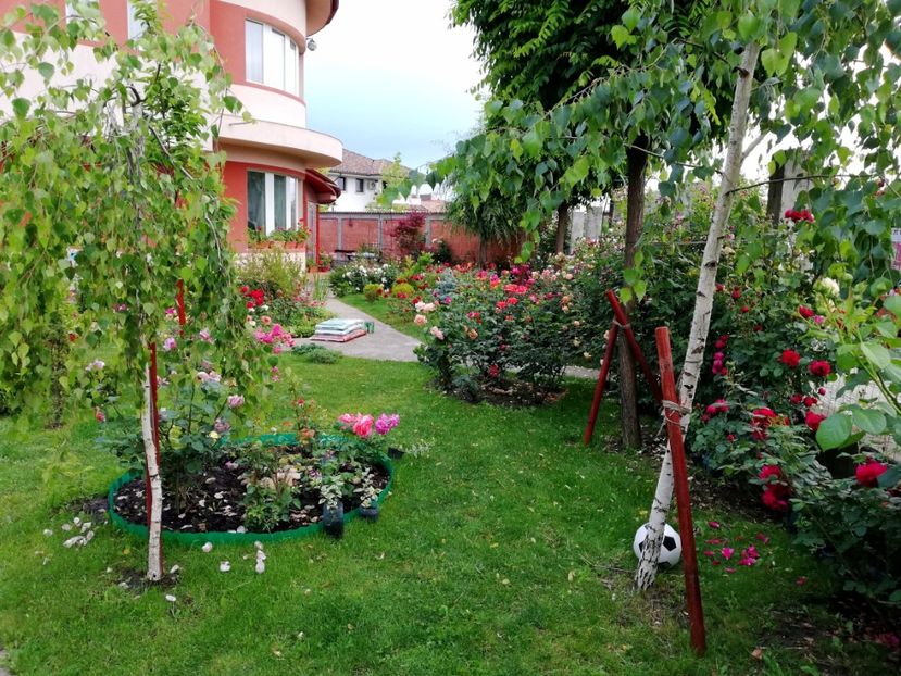  - Cum a evoluat gradina mea