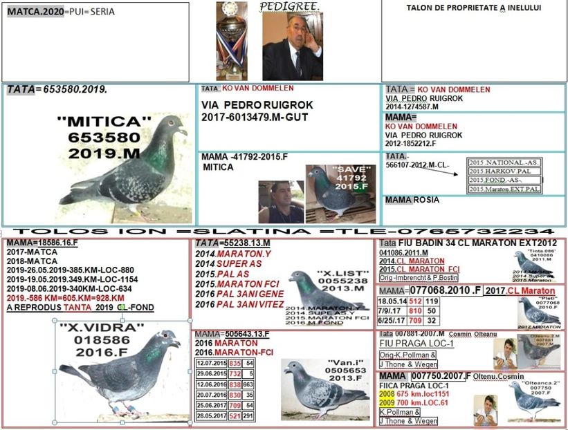 mitica+vidra - 2 MATCA 2020