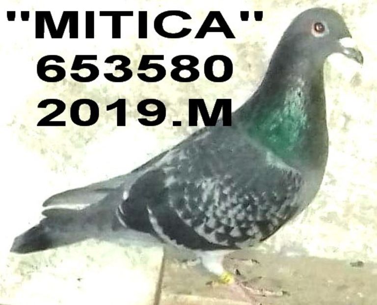 2019.653580-+- - 2 MATCA 2020