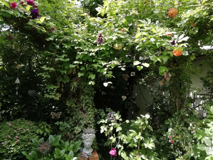  - Grădina 2020 continuare 1