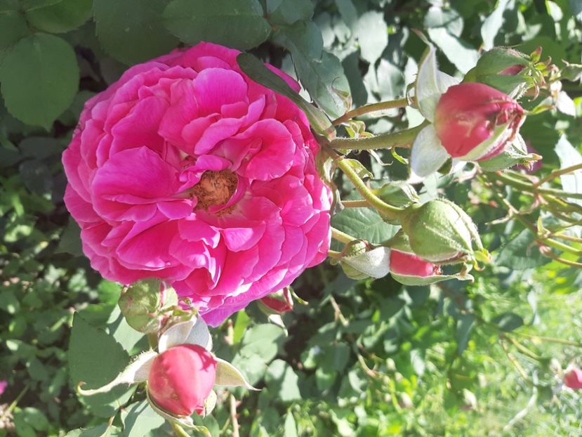  - La țară în iunie 2020