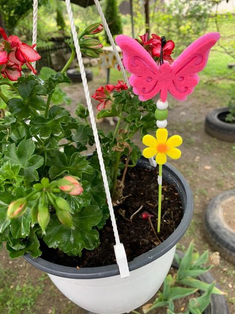 8972BE91-C252-4A97-BAFF-6E4270F9F72D - Florile mele 2020