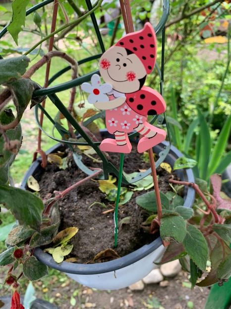 F8939FCB-77AC-4B68-90A1-249332B1BC1F - Florile mele 2020