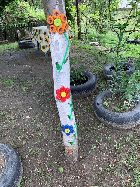 59BB9E02-C9CB-4763-82F9-B51882F3D1EE - Idei puse in practica 2020