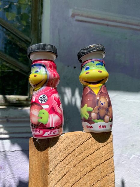 15559854-4928-435E-A469-AF74B3553187 - Idei puse in practica 2020