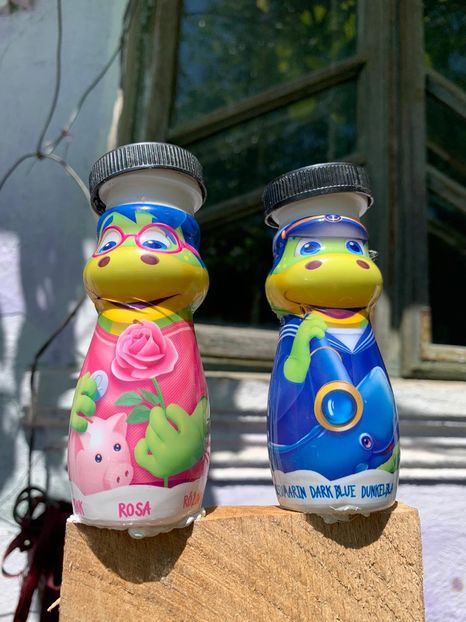 4FB49F8F-118F-4412-AFD3-A3EB844258EF - Idei puse in practica 2020