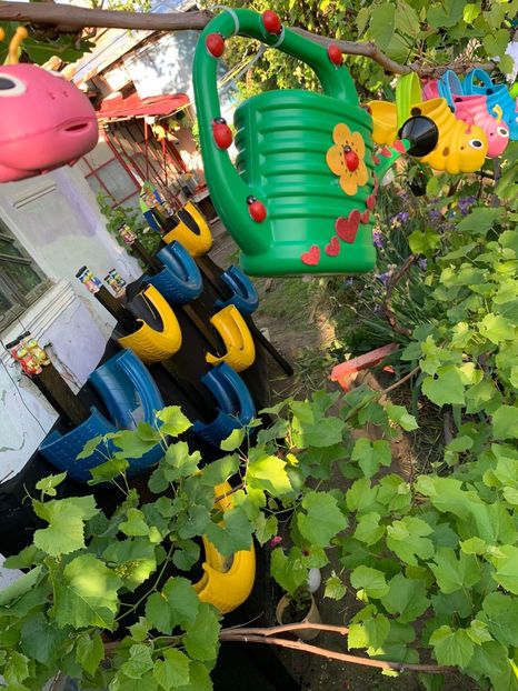 6DC448E9-49AE-4194-87EB-4C0C176CC95B - Idei puse in practica 2020