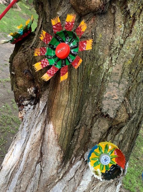 F964E6E3-72E3-49C6-BC51-3B42B84DE37A - Idei puse in practica 2020