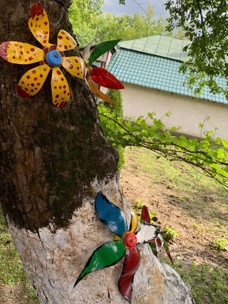 2F153977-1A22-4CE1-82D3-39007D52D3CD - Idei puse in practica 2020