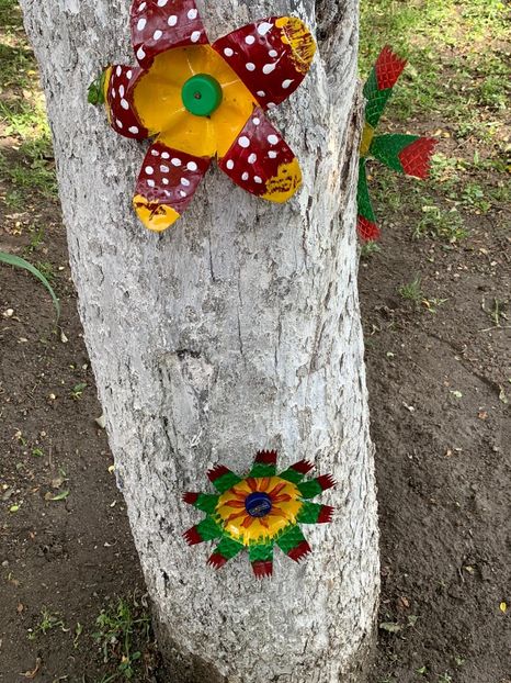 08547987-B796-4C5F-AF6A-99970AB68B53 - Idei puse in practica 2020