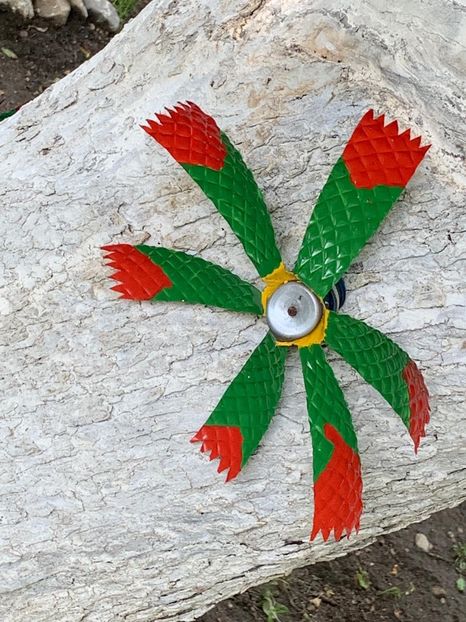 339A17FD-B3A2-4BAD-A393-499744291549 - Idei puse in practica 2020