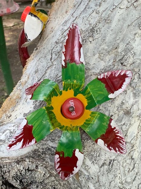 2CA0C3D0-AC39-4114-AFE8-BF8AFBF08A62 - Idei puse in practica 2020