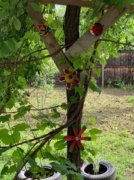 68F3ED1C-F00F-47EF-8E54-D5FB45794821 - Idei puse in practica 2020