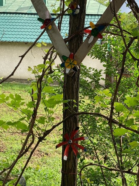 D60D5483-CF5E-4116-AC28-D61B3BDD7F9B - Idei puse in practica 2020