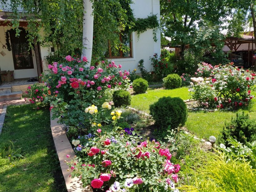  - 2020_Roze_Gradina Rozelor