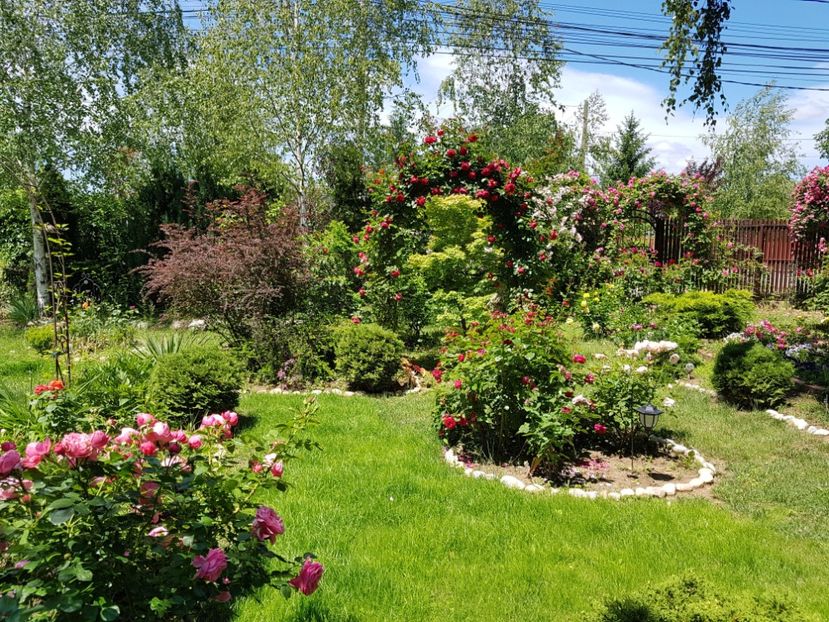  - 2020_Roze_Gradina Rozelor