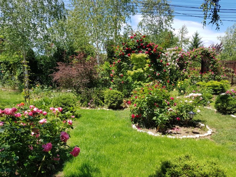  - 2020_Roze_Gradina Rozelor