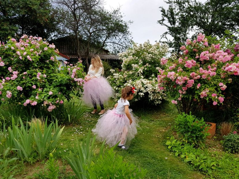  - 2020_Roze Idilic Garden