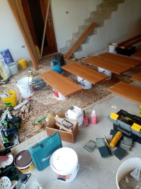  - 2020 Scari Interioare