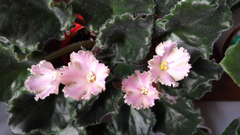  - Ajohns Spinning Bells