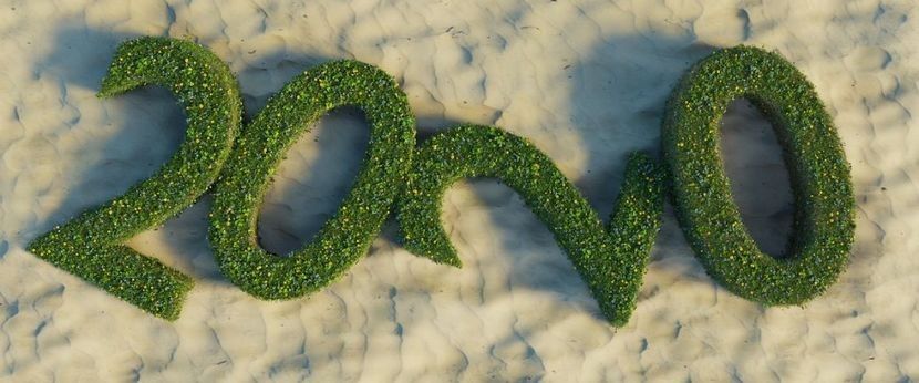  - Alte plante de interior