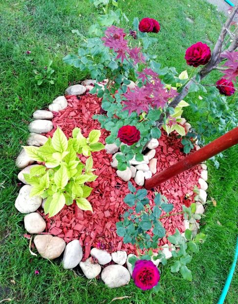  - Astrid Grafin von Hardenberg