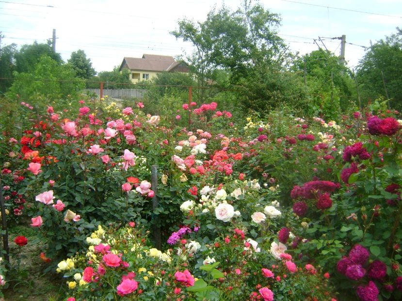  - Gradina 2020-2021