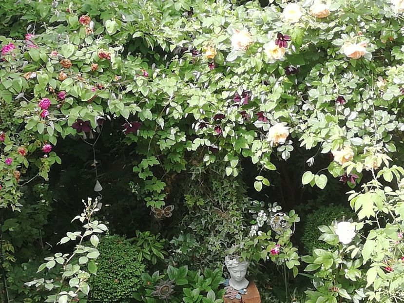  - Grădina 2020 continuare 1