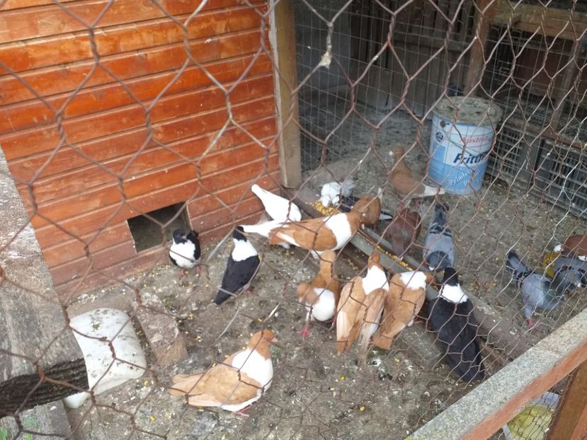  - Strasser 2019-2023