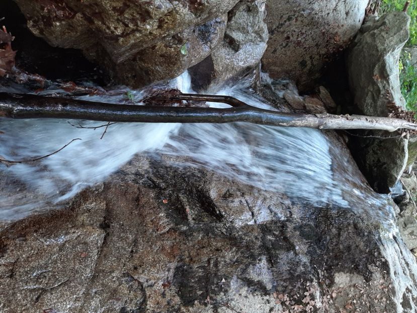  - Valea Șușiței Verzi