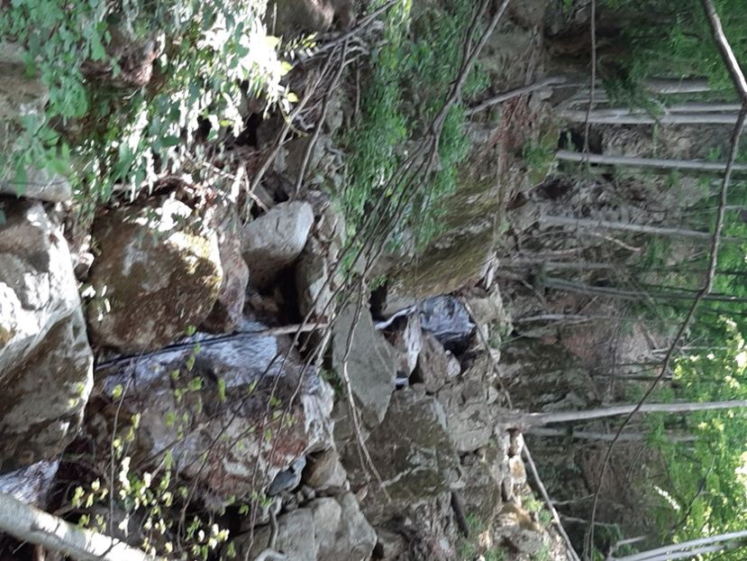  - Valea Șușiței Verzi