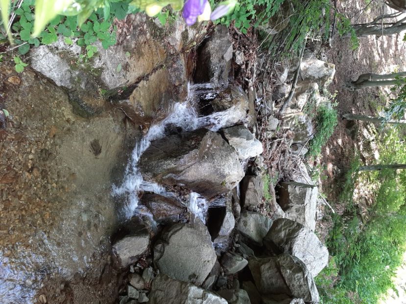  - Valea Șușiței Verzi