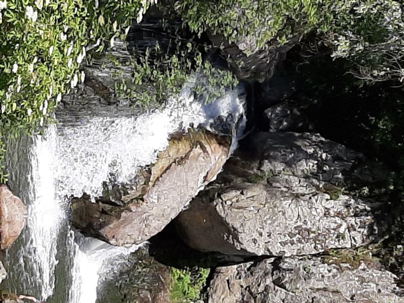  - Valea Șușiței Verzi