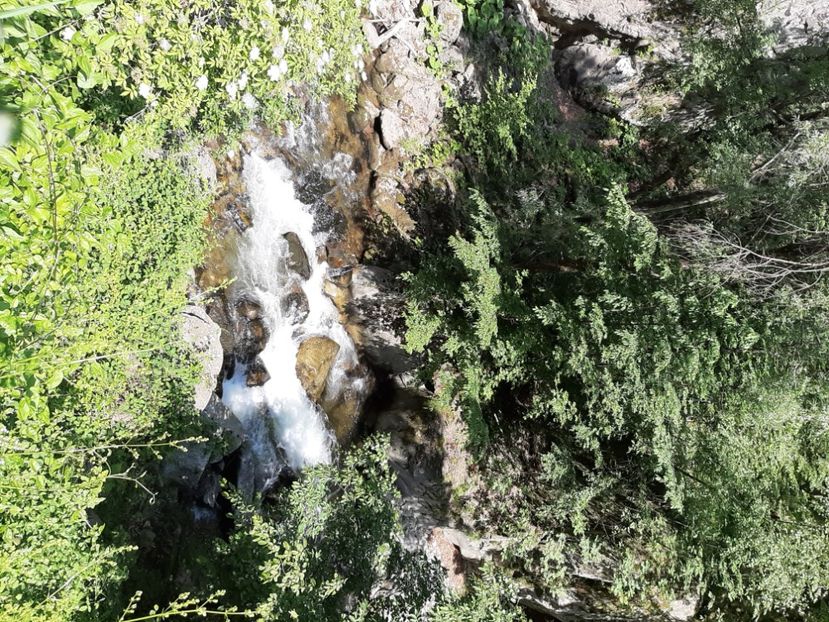  - Valea Șușiței Verzi