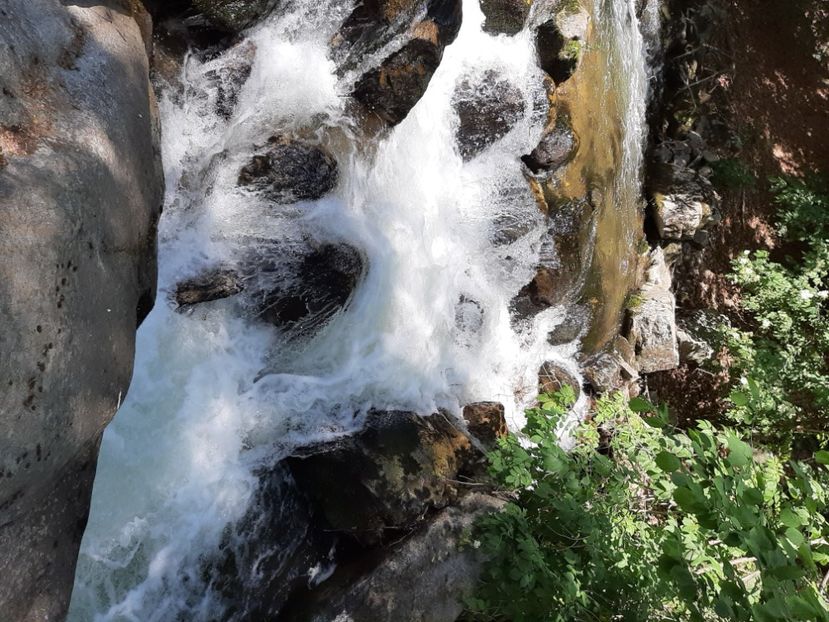  - Valea Șușiței Verzi