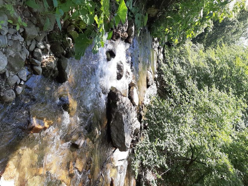  - Valea Șușiței Verzi