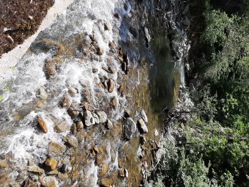  - Valea Șușiței Verzi