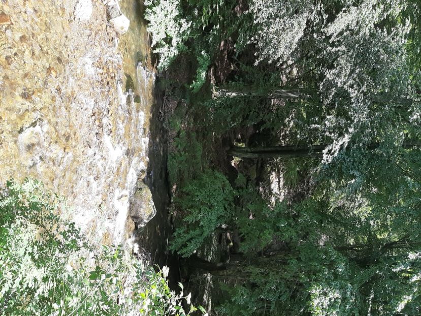  - Valea Șușiței Verzi