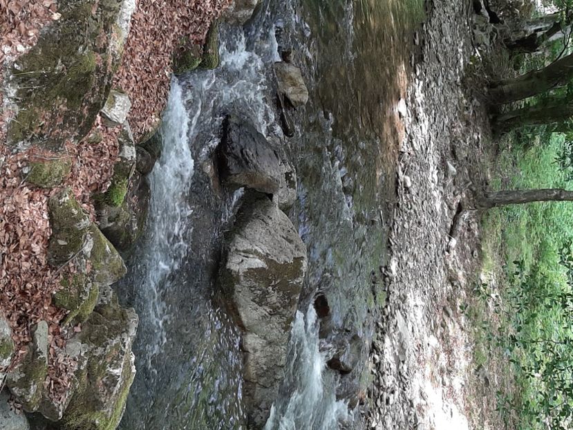  - Valea Șușiței Verzi