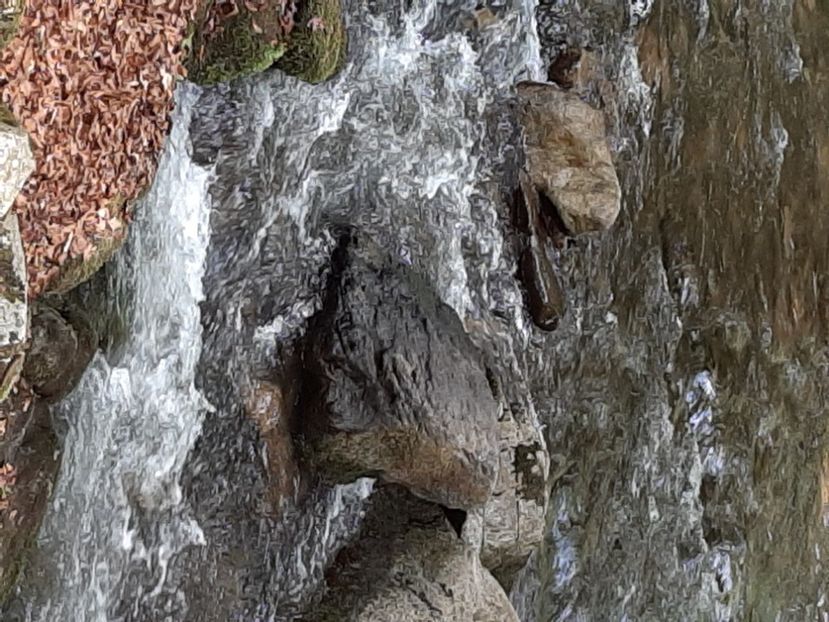  - Valea Șușiței Verzi