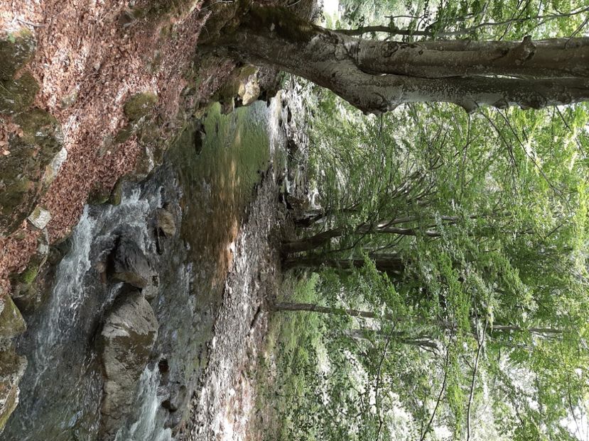  - Valea Șușiței Verzi