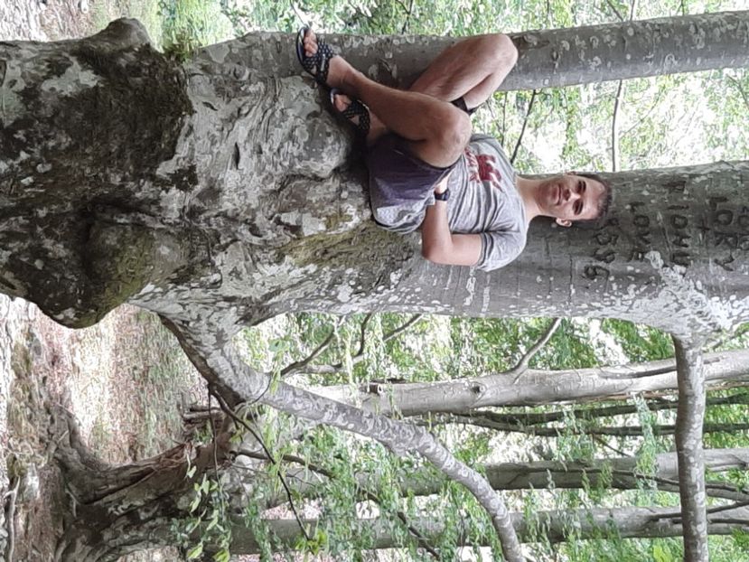  - Valea Șușiței Verzi