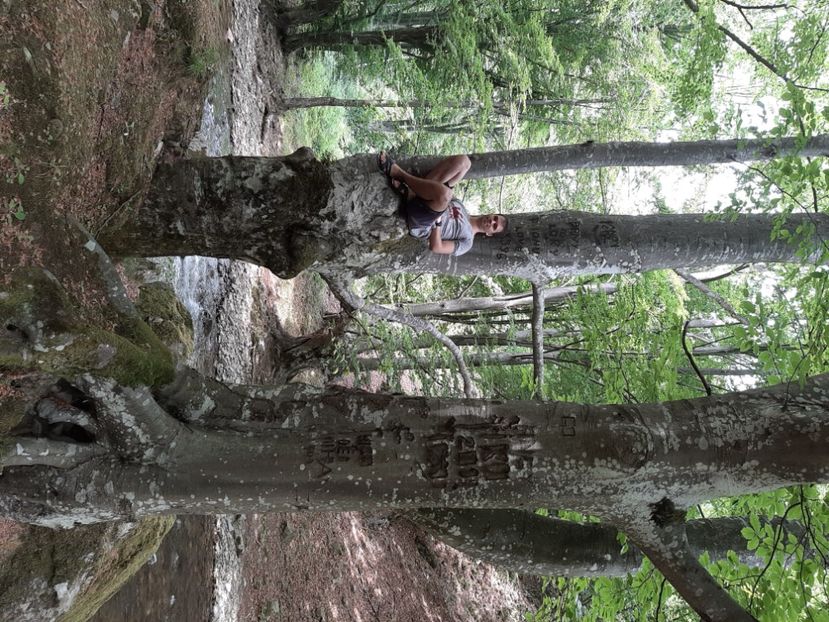  - Valea Șușiței Verzi