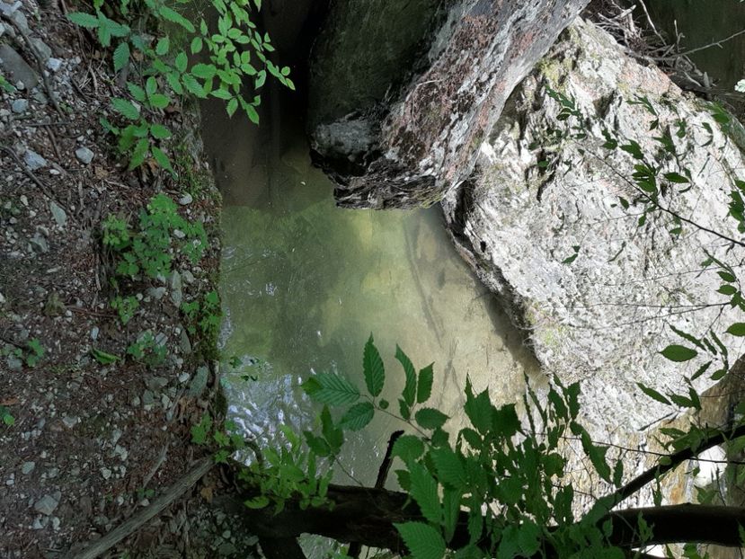  - Valea Șușiței Verzi