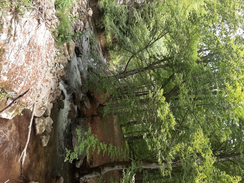  - Valea Șușiței Verzi