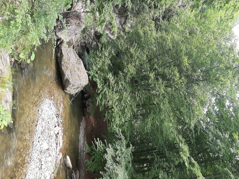  - Valea Șușiței Verzi