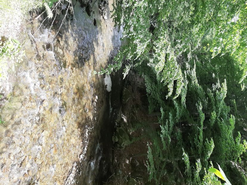  - Valea Șușiței Verzi