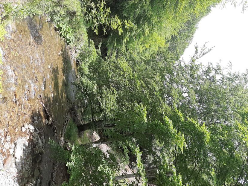  - Valea Șușiței Verzi
