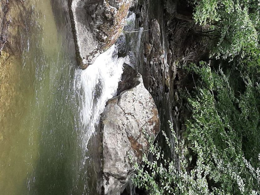  - Valea Șușiței Verzi